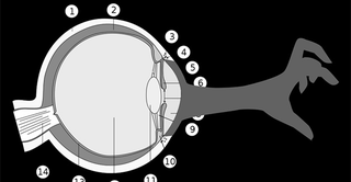 Illustration for article titled December 13, 2010